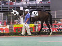 20160518 大井9R アイラブ大井賞 3歳 サンドプラチナ 03