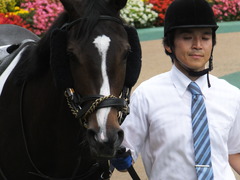 20160605 東京4R 3歳未勝利 ツボミ 08