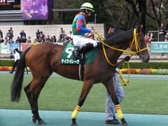 20151031 東京11R アルテミスS(G3) テイケイレーヴ 09