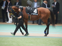 20180506 東京12R 立川特別(1000) ノーモアゲーム 06
