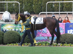 20150104 中山2R 3歳未勝利 ノーブルクリスタル 02