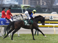 20170205 東京11R 東京新聞杯(G3) プロディガルサン 19