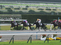 20151121京都2R 2歳未勝利 メイショウノボサン 10