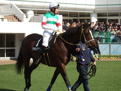 20190302 中山8R 潮来特別(1000) ラッシュアタック 10