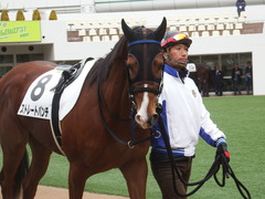 20190112 中山5R 3歳未勝利 ストレートパンチ 03