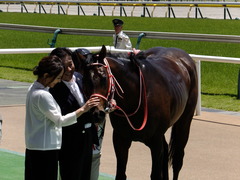 20170604 東京4R 3歳未勝利 ホウオウドリーム 36