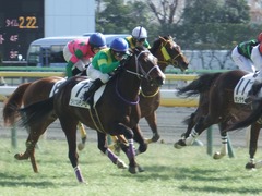 20180212 東京4R 3歳未勝利 マイティテソーロ 13