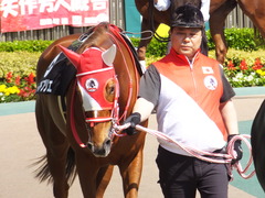 20170429 東京9R 秩父特別(1000) レーヌドブリエ 05