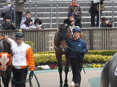 20170205 東京1R 3歳未勝利 メガポリゴン 07