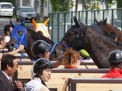 20150906 札幌2R 2歳未勝利 サラマンカ 14