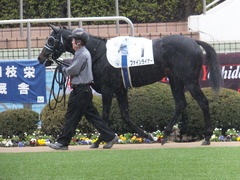 20150301 中山7R 3歳500万下 ファインライナー 02