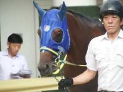 20180917 中山9R 白井特別(1000) ラッシュアタック 05