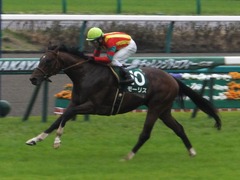 2015ダービー卿チャレンジトロフィー制覇 モーリス 01