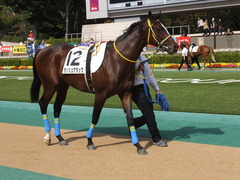 20141026 東京4R ラッシュアタック 03