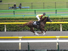 20150627 東京11R 夏至S ランドマーキュリー 11
