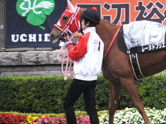 20151123 東京10R 鷹巣山特別 レーヌドブリエ 05