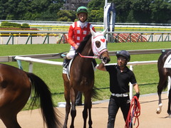 20170617 東京1R 2歳未勝利 サラート 17