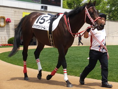 20170514 京都5R 3歳未勝利 ホウオウドリーム 09
