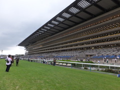 20150628 東京競馬場 03
