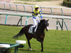 20150321 中山5R 3歳未勝利 ロジダーリング 14