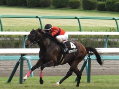 20170930 中山10R 習志野特別(1000) オウケンブラック 17