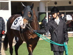 20150112 中山5R 3歳未勝利 ロジダーリング 08