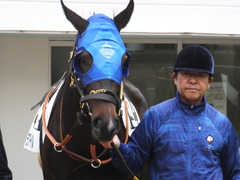 20180407 中山3R 3歳未勝利 ラプターゲイル 02