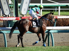 20171209 中山9R 霞ヶ浦特別(1000) ラッシュアタック 15