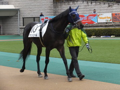 20160130 東京4R 3歳未勝利 アタンドリール 06