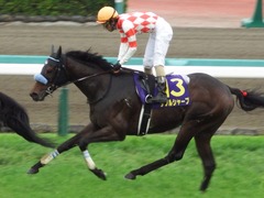 20180415 中山11R 皐月賞(G1) ダブルシャープ 19