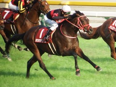 20180527 東京12R 目黒記念(G2) ホウオウドリーム 30