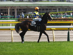 20160522 東京10R フリーウェイS(1600) ロジダーリング 18