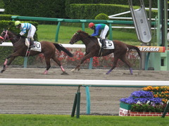 20150419 中山3R 3歳未勝利 トーセンバンビーナ 12