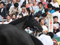 20160925 中山11R オールカマー(G2) サトノノブレス 17