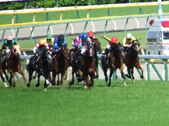 20180520 東京10R フリーウェイS(1600) クライムメジャー 22