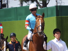 20150912 中山5R 2歳メイクデビュー ヤマニンリュウセイ 10