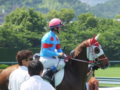 20160618 阪神8R 3歳上牝馬500万下 レーヌドブリエ 22