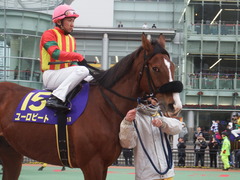 20190206 大井11R 金盃(S2) ユーロビート 21