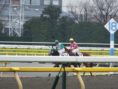 20160130 東京3R 3歳未勝利 カズノメガミ 16