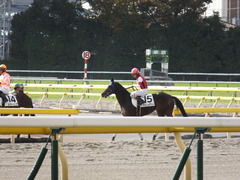 20141116 東京2R ウィンメアリー 07