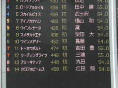 20141012 東京4R ウインメアリー 01
