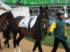 20170408 中山5R 3歳未勝利 ジュンマシュウ 02