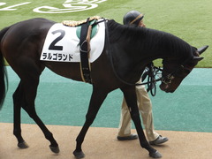 20160423 東京4R 3歳未勝利 ラルゴランド 06