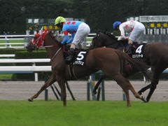 20171014 京都11R 清水S(1600) レーヌドブリエ 28