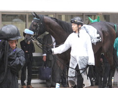 20180929 中山10R 習志野特別(1000) ダブルシャープ 08