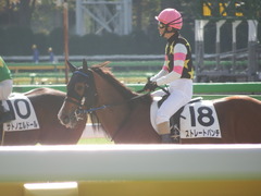 20181124 東京3R 2歳未勝利 ストレートパンチ 18