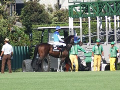 20180909 中山9R 木更津特別(1000) アドマイヤシナイ 14