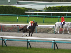 20140419 中山12R ゴールウェイ 09