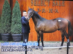 アリス2014
