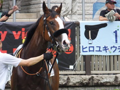 20170625 東京1R 3歳牝馬未勝利 プンメリン 16